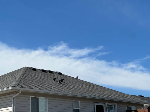 Professional Roofing Service in Venus, TX